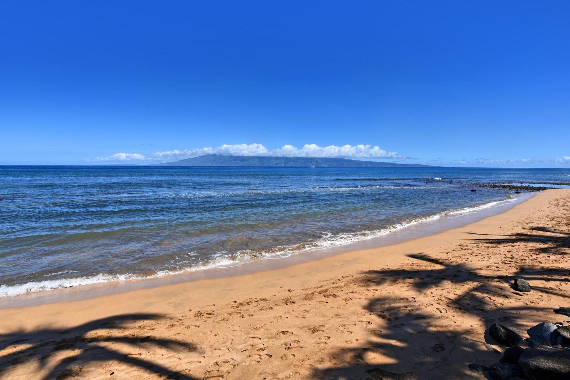Kaanapali Shores 160 - Sleep Steps Away From The Ocean Kahana Buitenkant foto