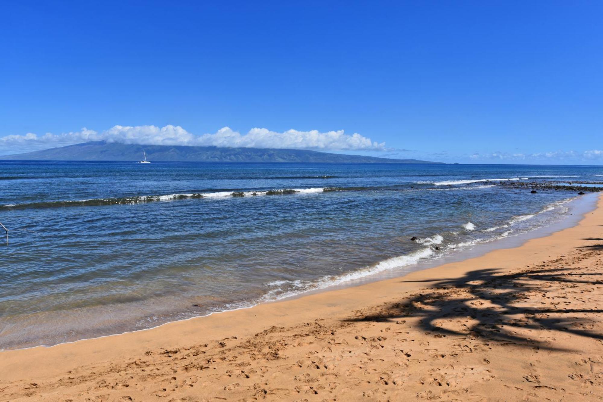 Kaanapali Shores 160 - Sleep Steps Away From The Ocean Kahana Buitenkant foto