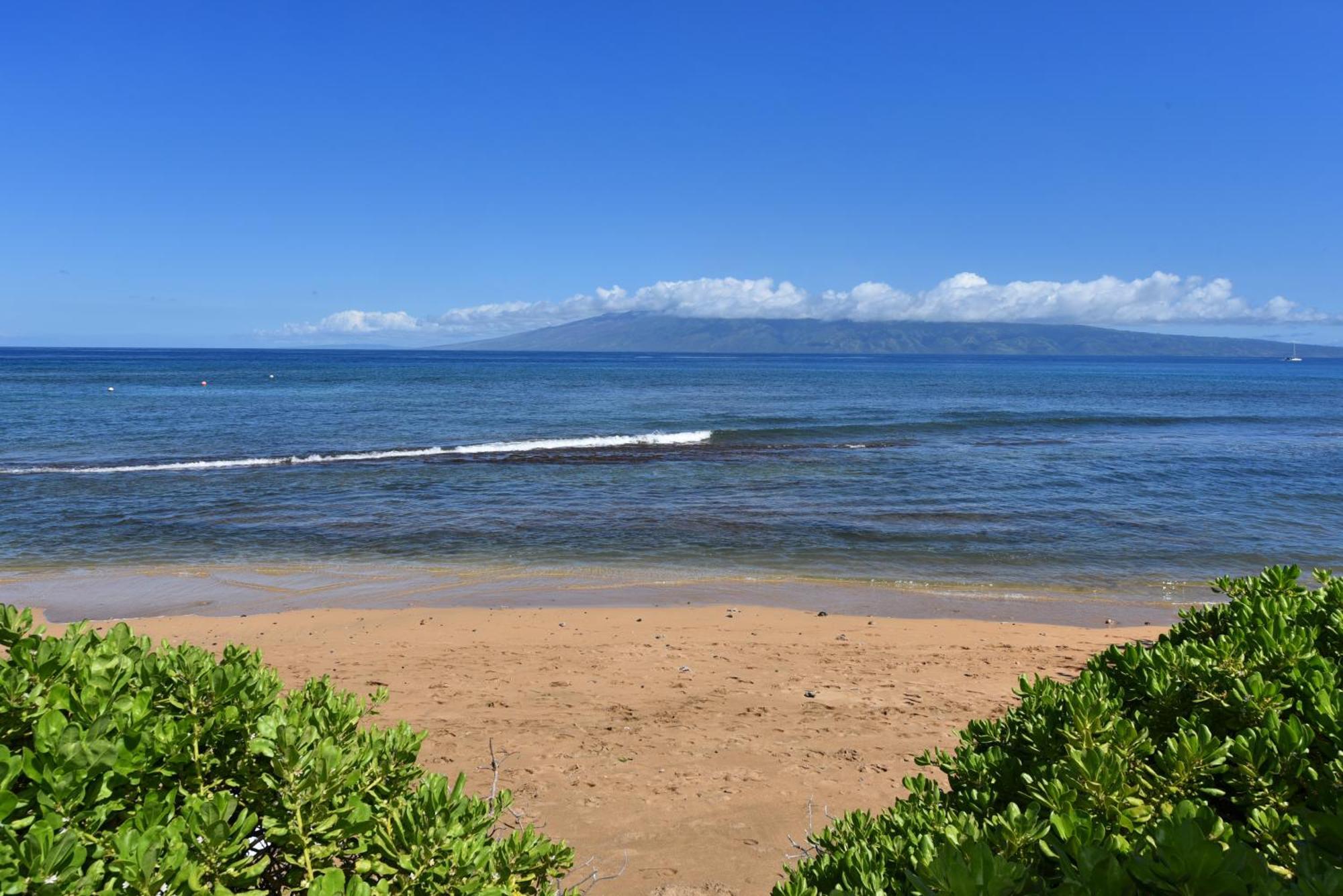 Kaanapali Shores 160 - Sleep Steps Away From The Ocean Kahana Buitenkant foto
